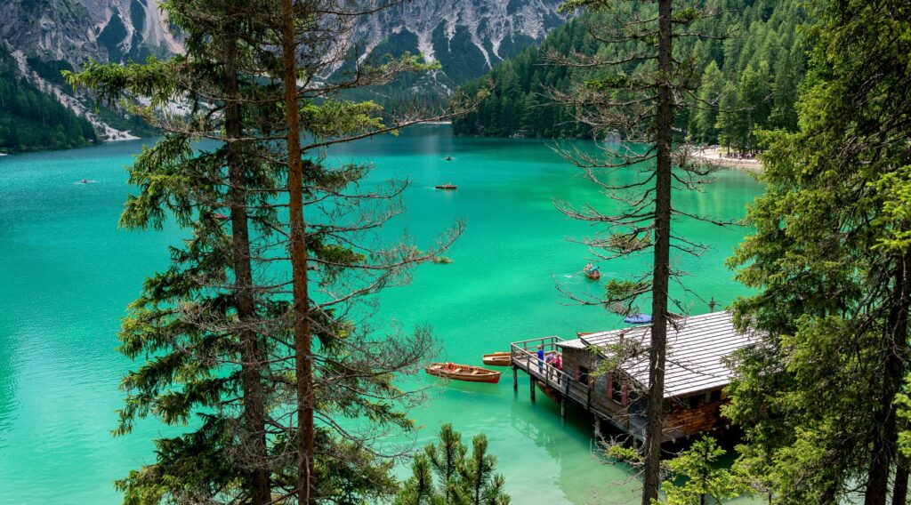 Mountain scene with trees, cabin and canoes